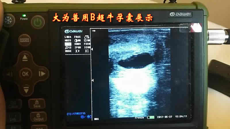 牛用B超,牛用B超機,養牛用B超,牛場用B超機,養牛用B超機,獸用B超,獸用B超機