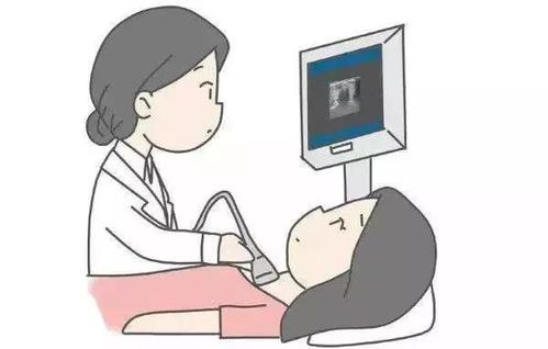 腸胃不好，用B超機做個超聲檢查